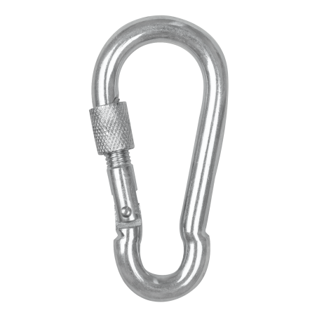 Waldhausen musketonhaak met veiligheidssluiting