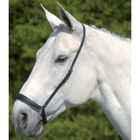 Muserolle allemande Waldhausen S-Line