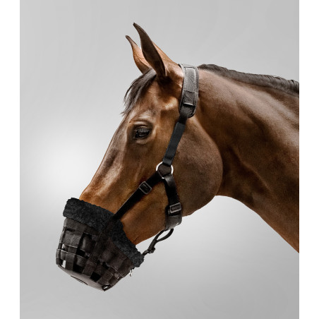 Panier Waldhausen Comfort