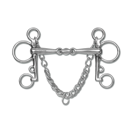 Pelham Waldhausen double brisure massif