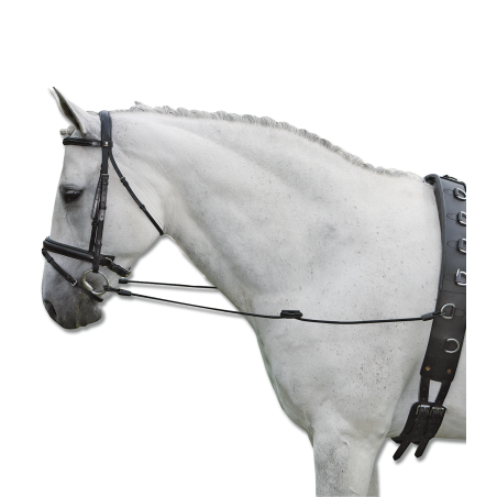 Waldhausen elastische vaste teugels