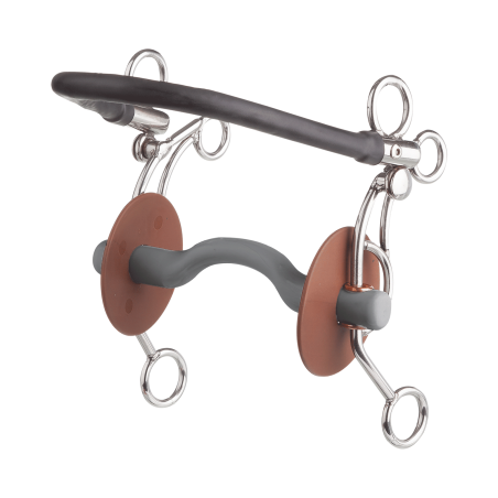 Mors Tandem Beris US canon passage de langue