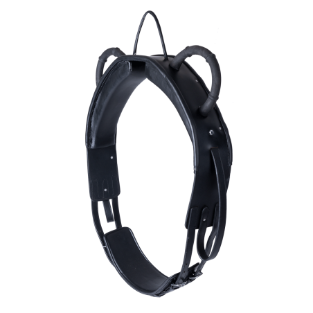 Surfaix de voltige Waldhausen