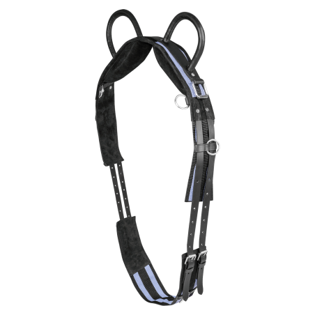 Surfaix Waldhausen 2 poignées