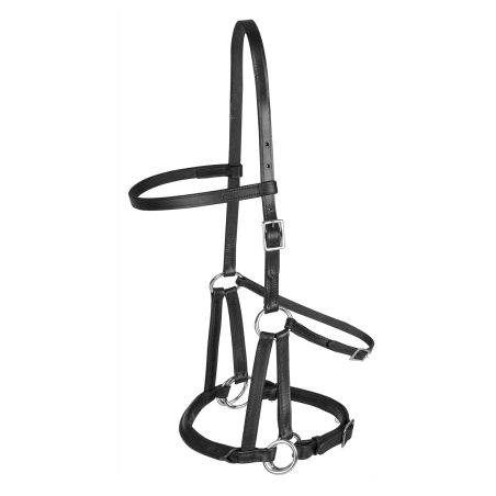 Bridon sans mors Linda tellington-jones