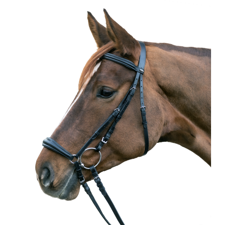 Bridon Star Hannover