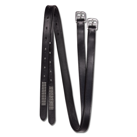 Stijgbeugels Silverstar Star