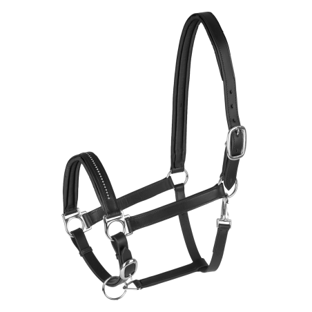 Licol cuir Star Diamond