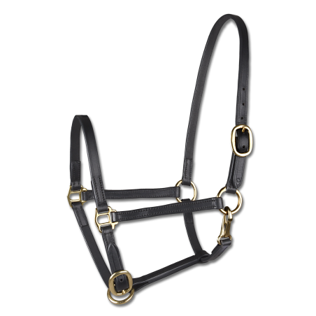 Licol de présentation cuir Star poulain