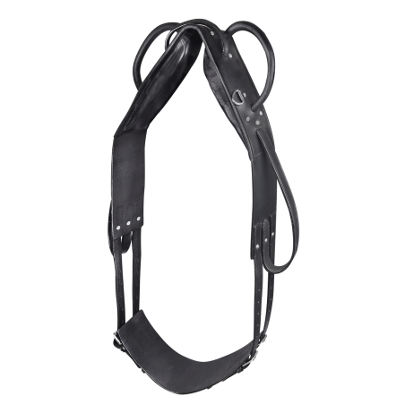 Surfaix Star voltige et longe