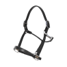 US halster met Verstellingen Dy'on Working Collection - Zwart