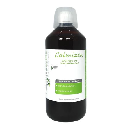 Calmizen Alliantie Paard