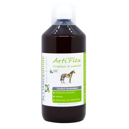 Arti'Flex Alliance Equine