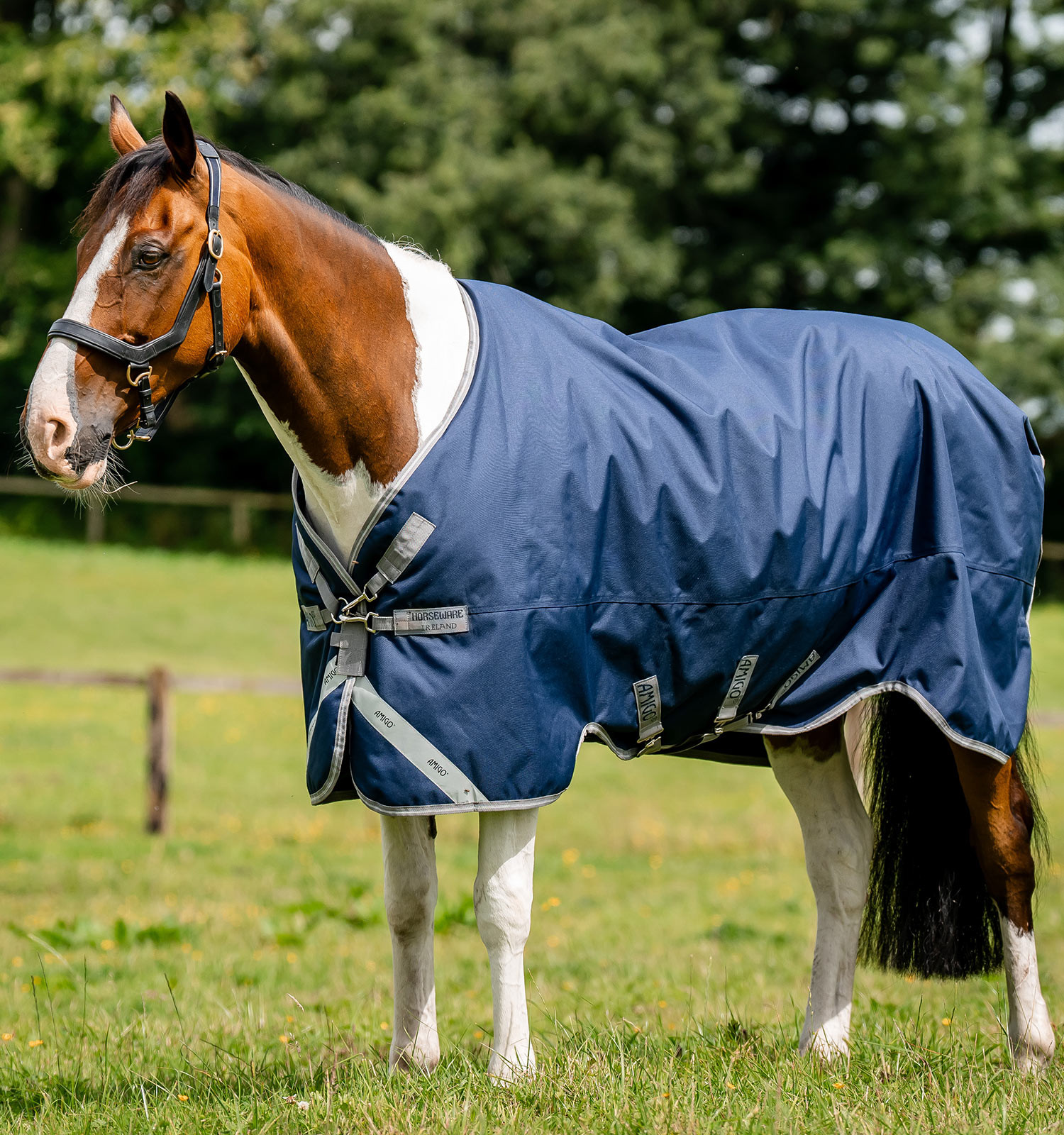 Couverture Horseware Amigo 1200D Turnout 100g Marine / gris titane / argent Bleu marine Couverture Horseware Amigo 1200D Turnout 100g Marine / gris titane / argent Bleu marine