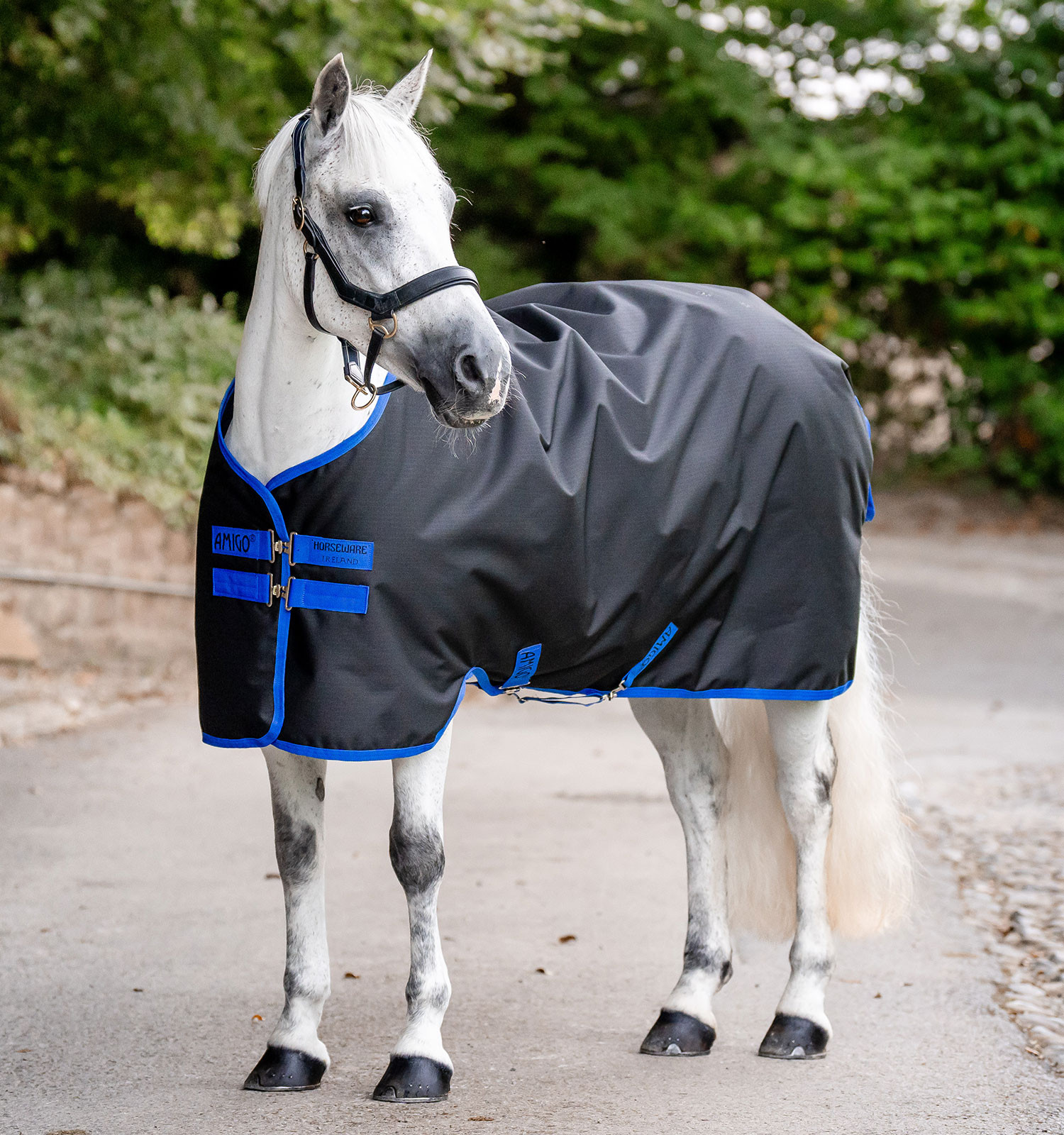 Couverture Amigo Ripstop Horseware 900D Turnout 50g Marine / gris titane Bleu marine Couverture Amigo Ripstop Horseware 900D Turnout 50g Marine / gris titane Bleu marine
