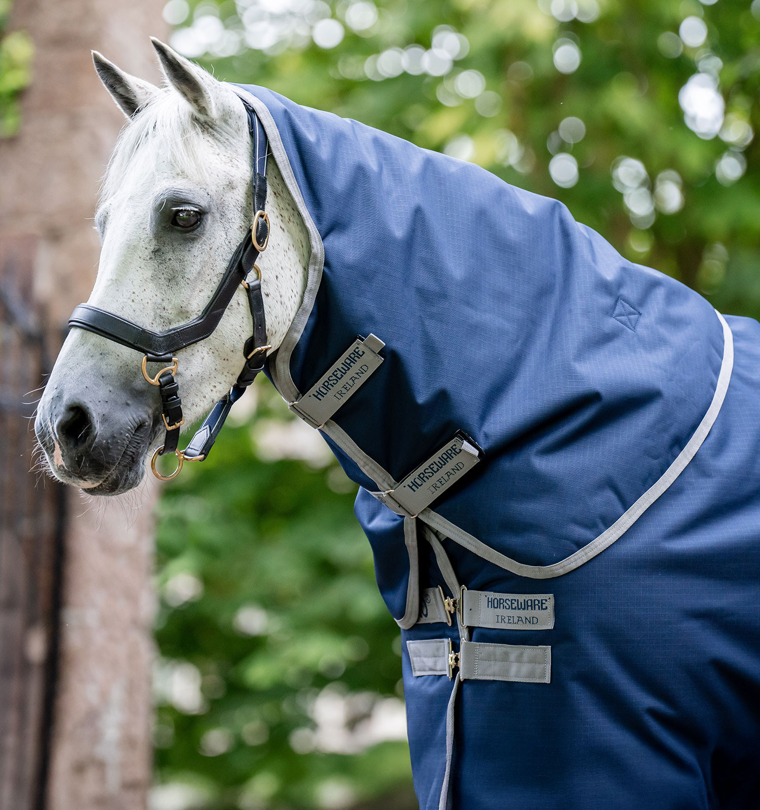 Couvre-cou Horseware Amigo Ripstop 900D Turnout Hood 150g Marine / gris titanium Bleu marine