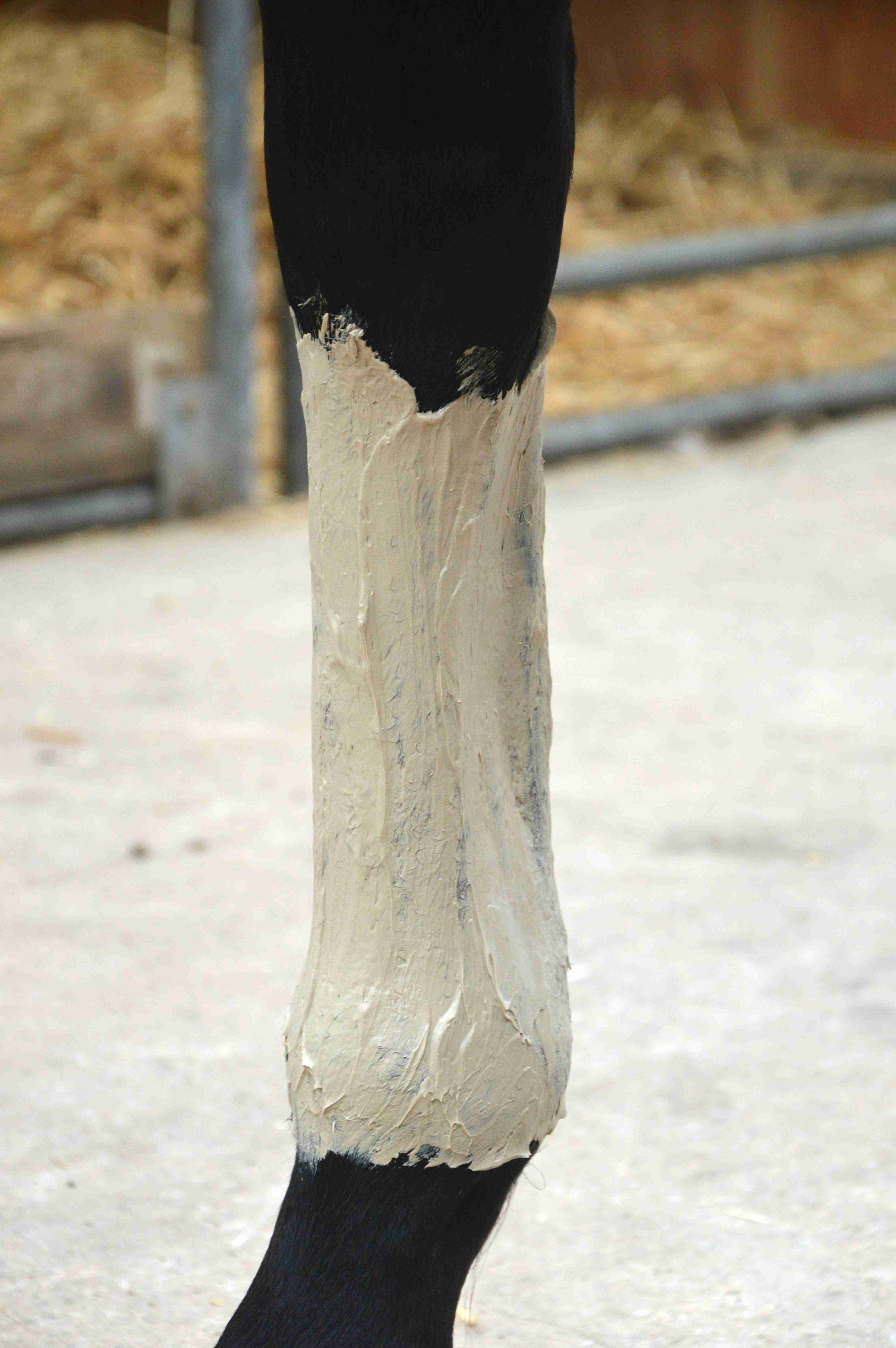 Pâte d'Argile Hydra Marine Nutragile