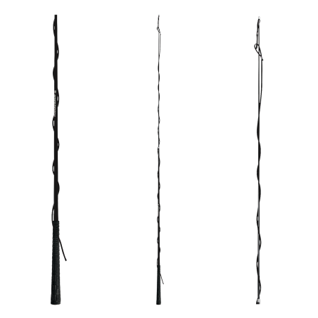 Uitschuifbare longeerzweep Waldhausen