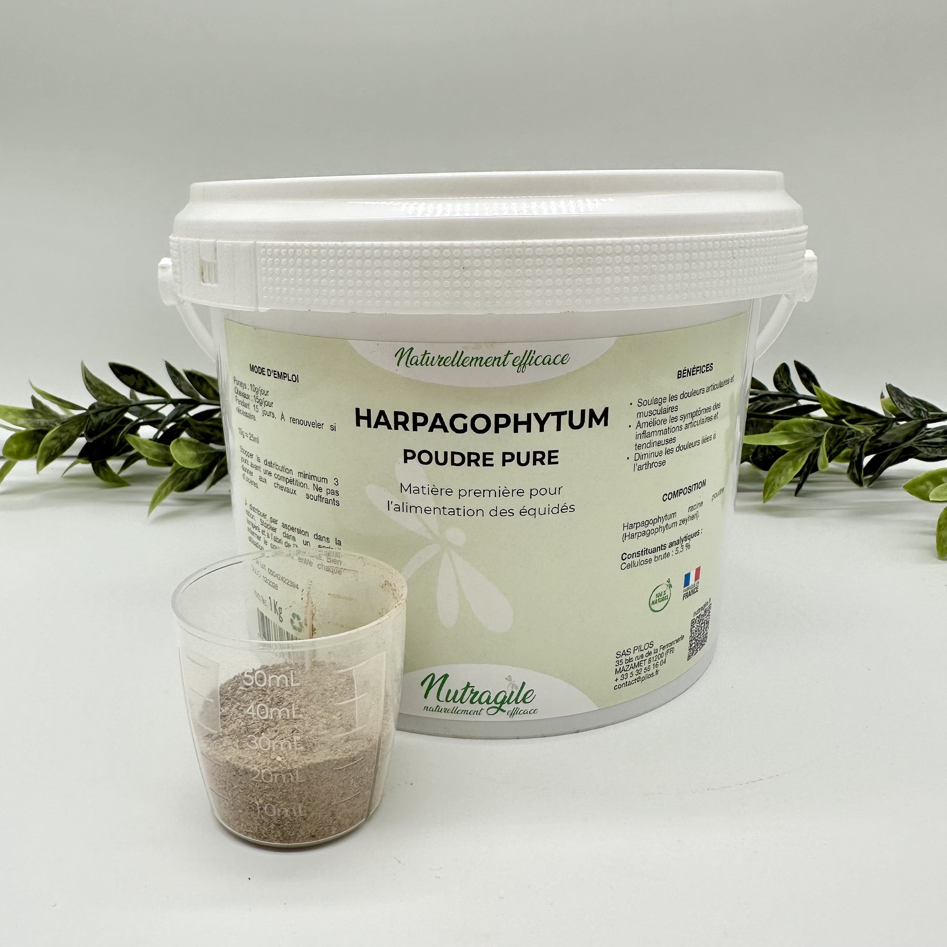 Harpagophytum Nutragile