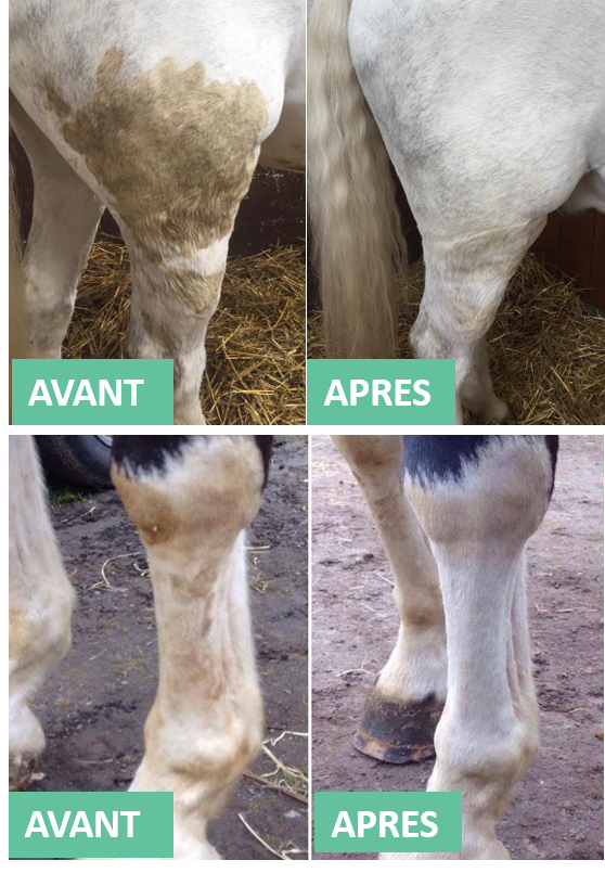 Vlekverwijderaar voor vacht en staart Ekin