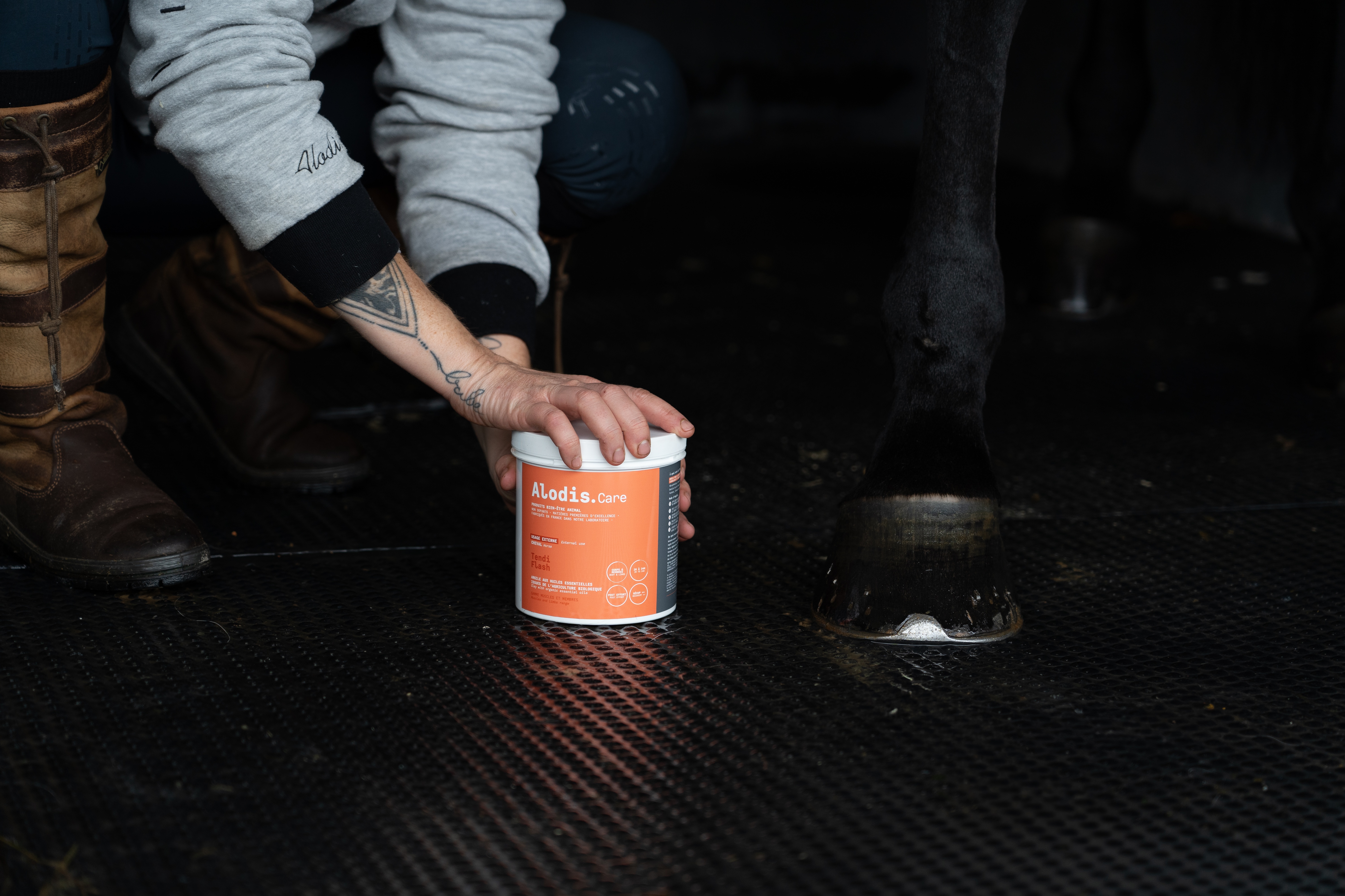 Klei Alodis Care Tendi Flash