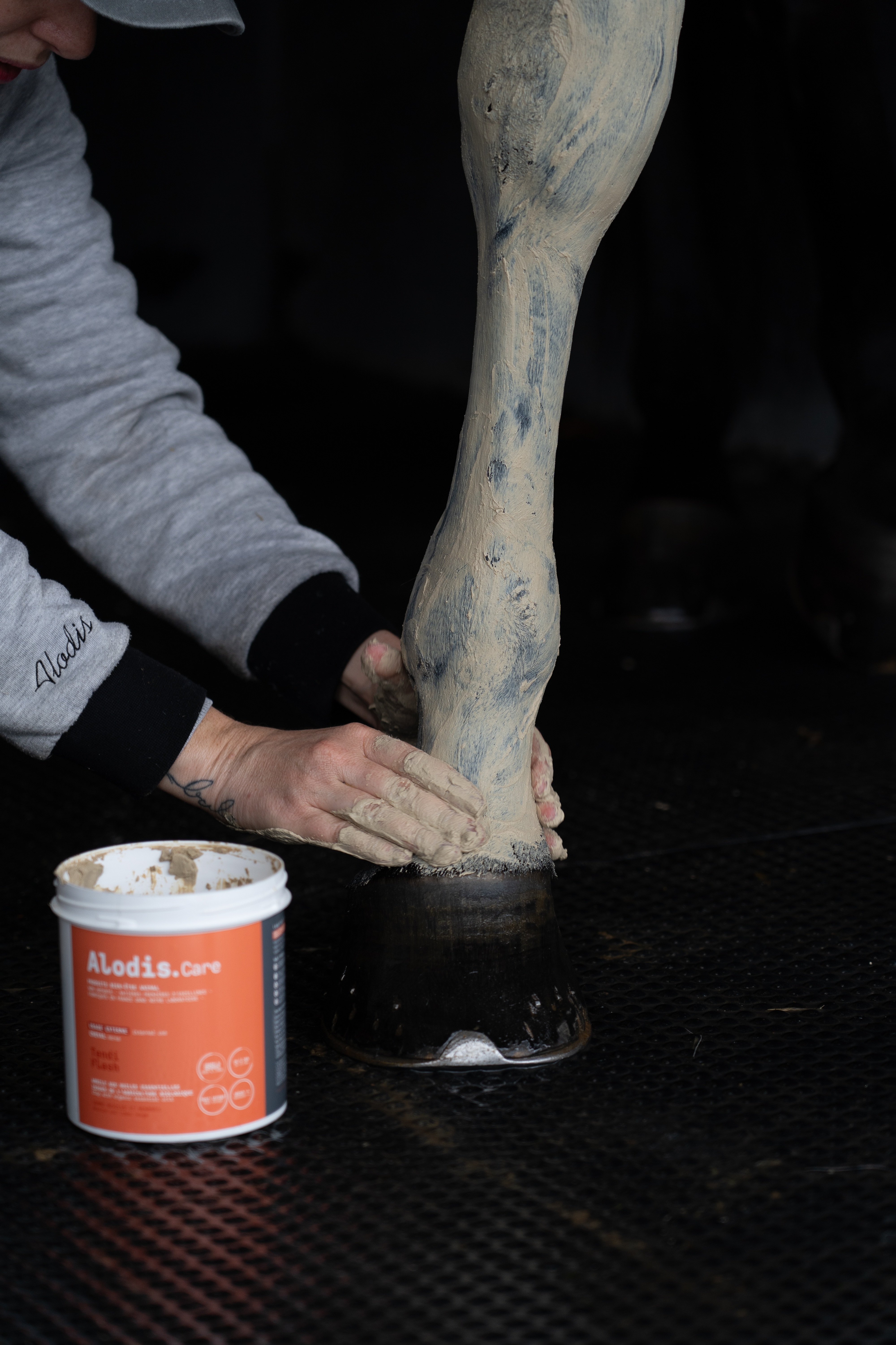 Klei Alodis Care Tendi Flash