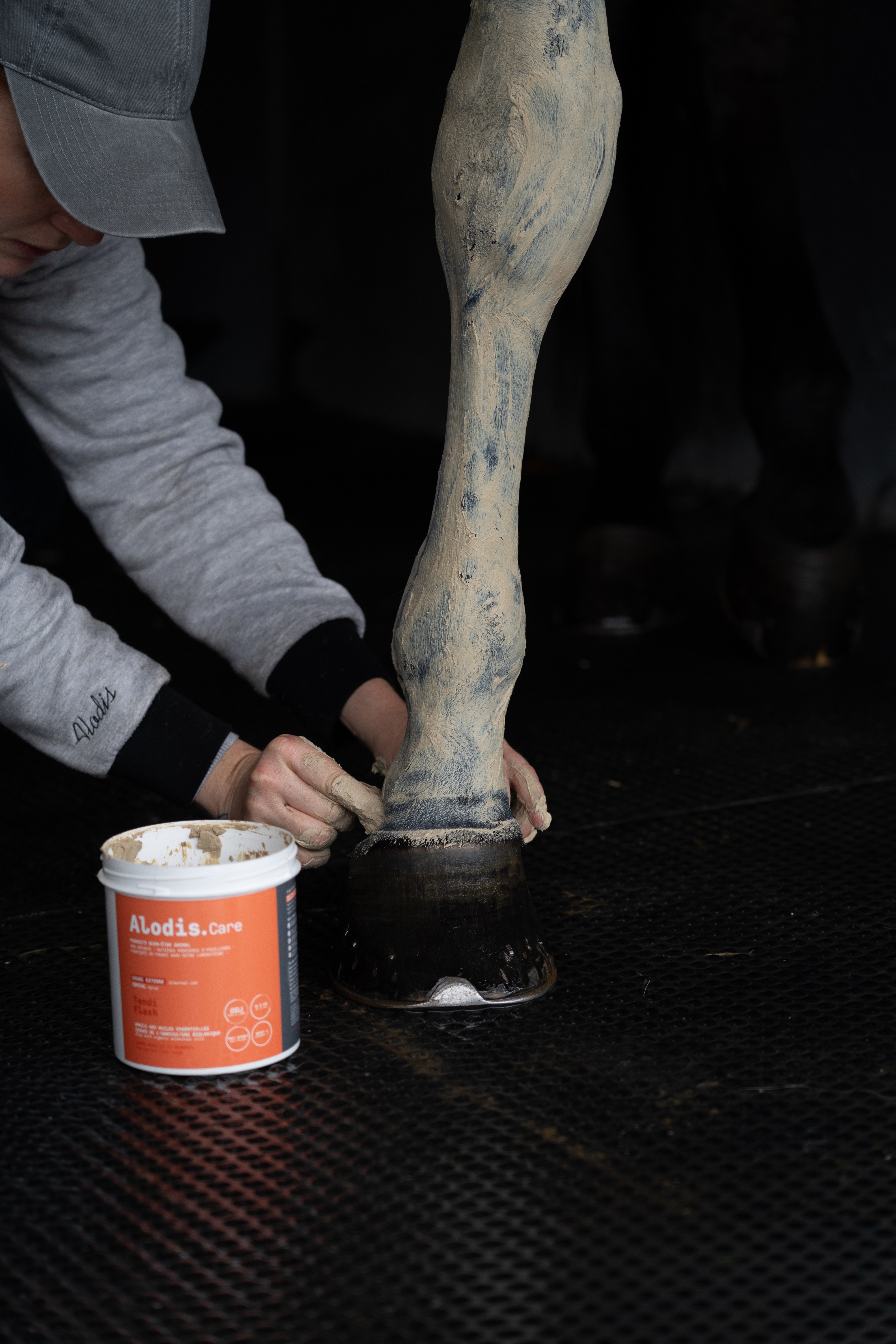 Klei Alodis Care Tendi Flash