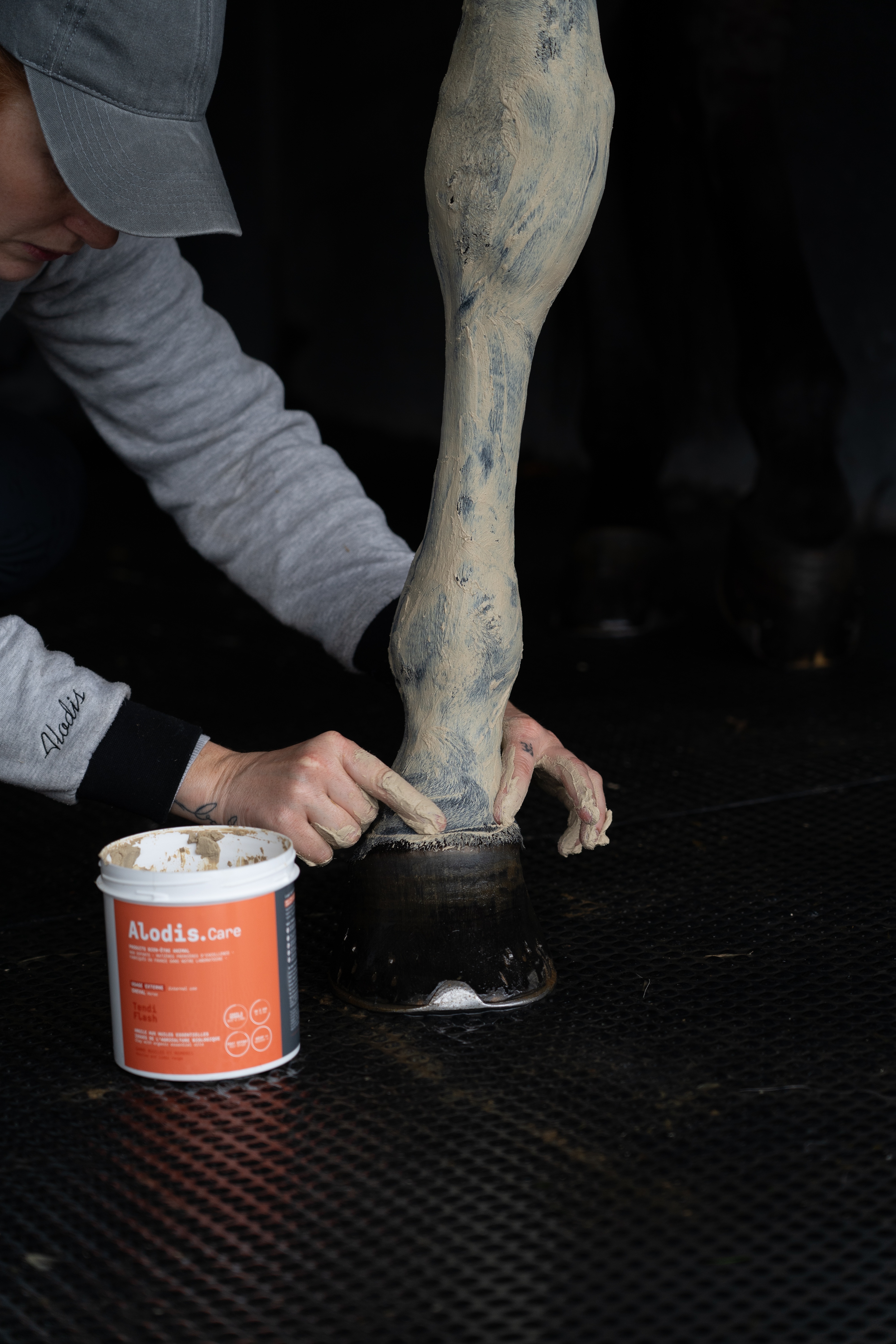 Klei Alodis Care Tendi Flash