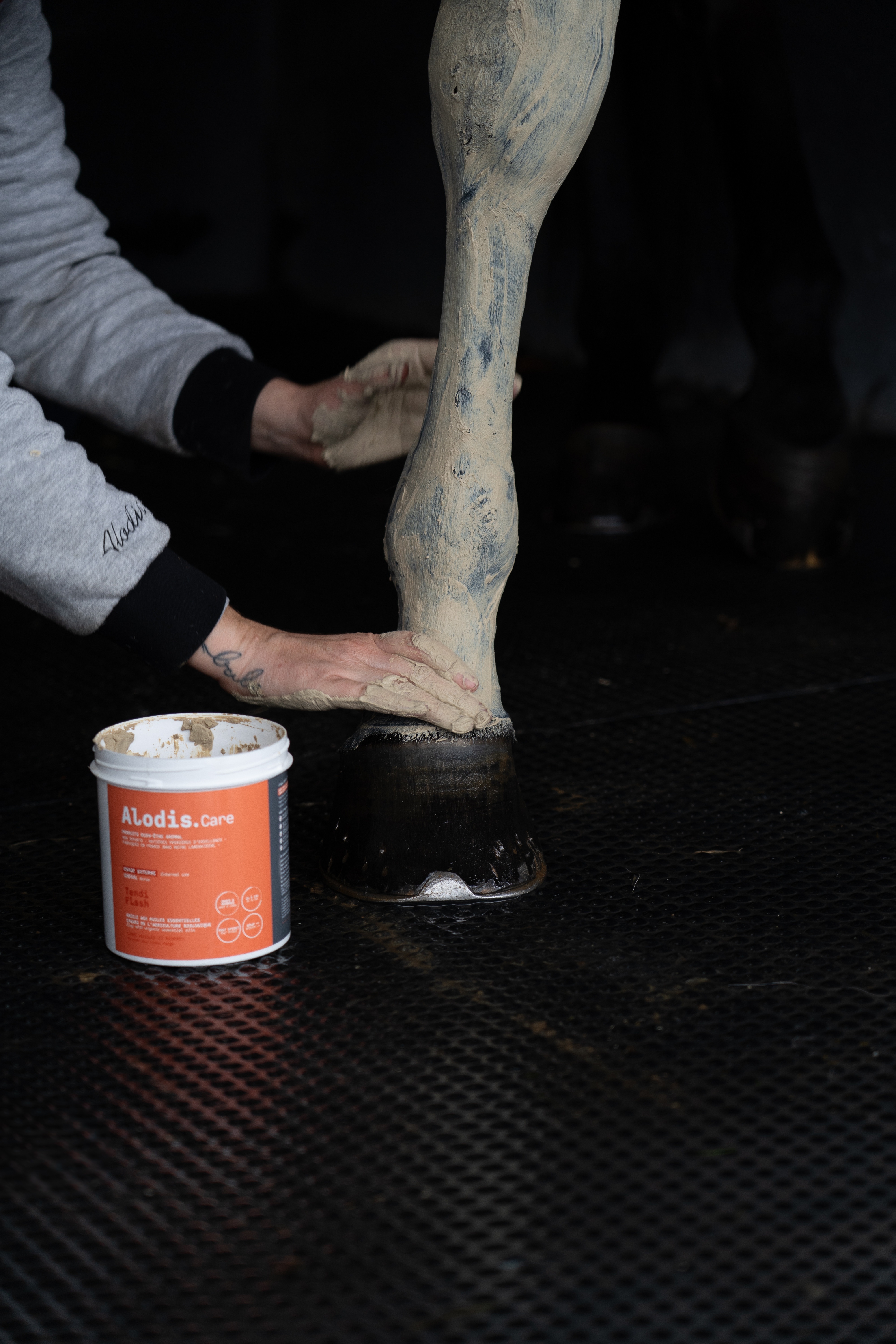 Klei Alodis Care Tendi Flash