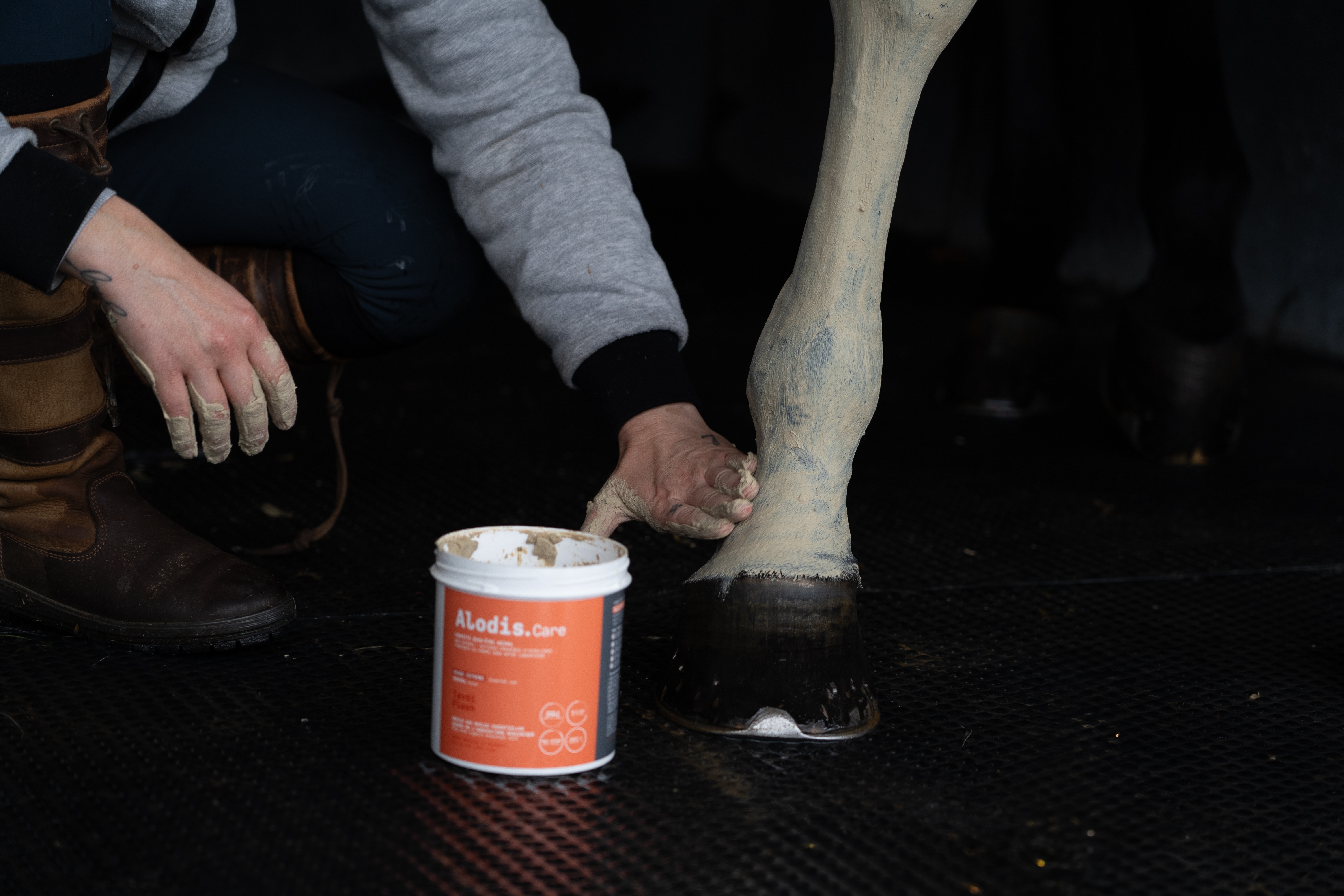 Klei Alodis Care Tendi Flash