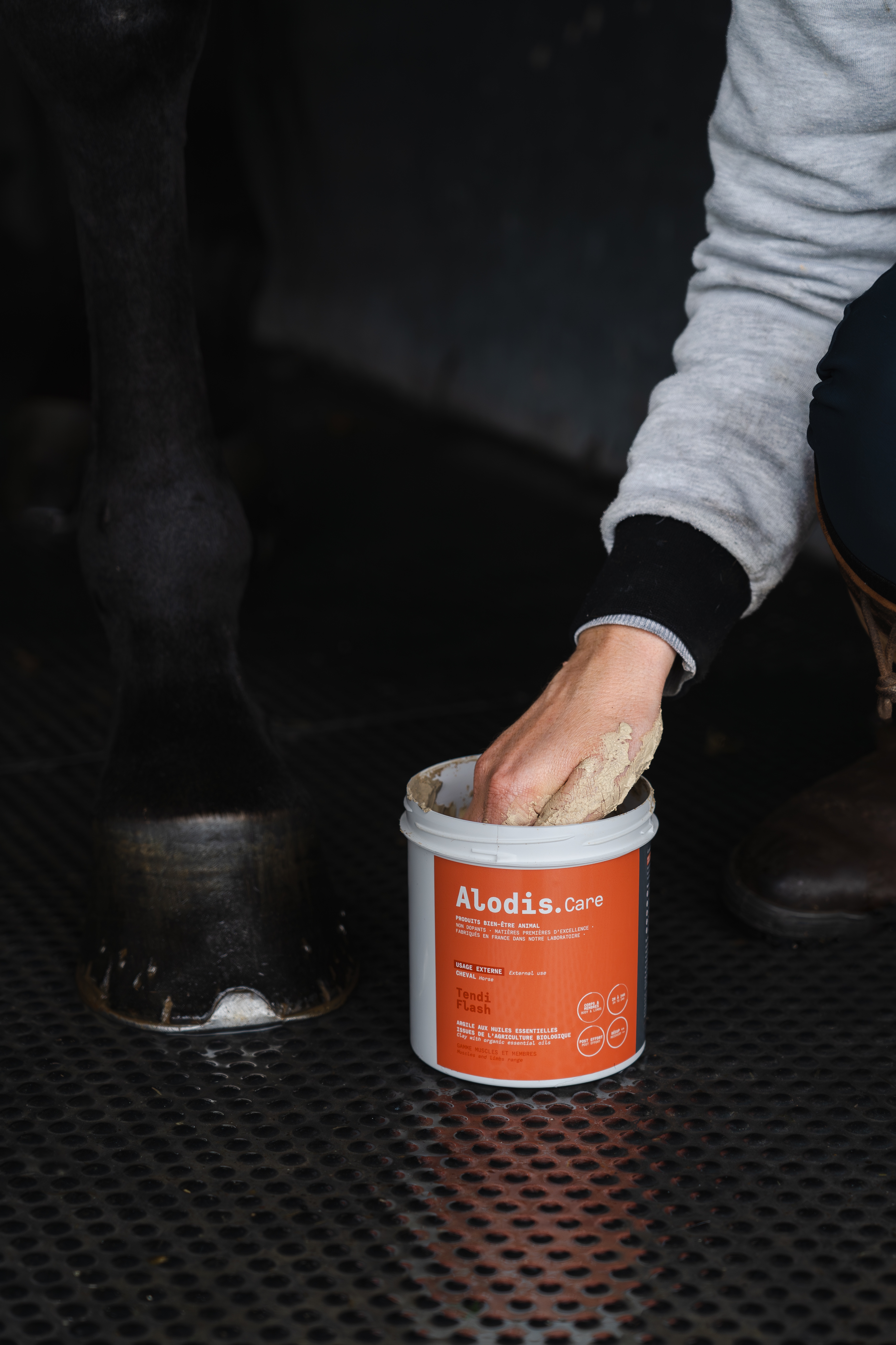 Klei Alodis Care Tendi Flash