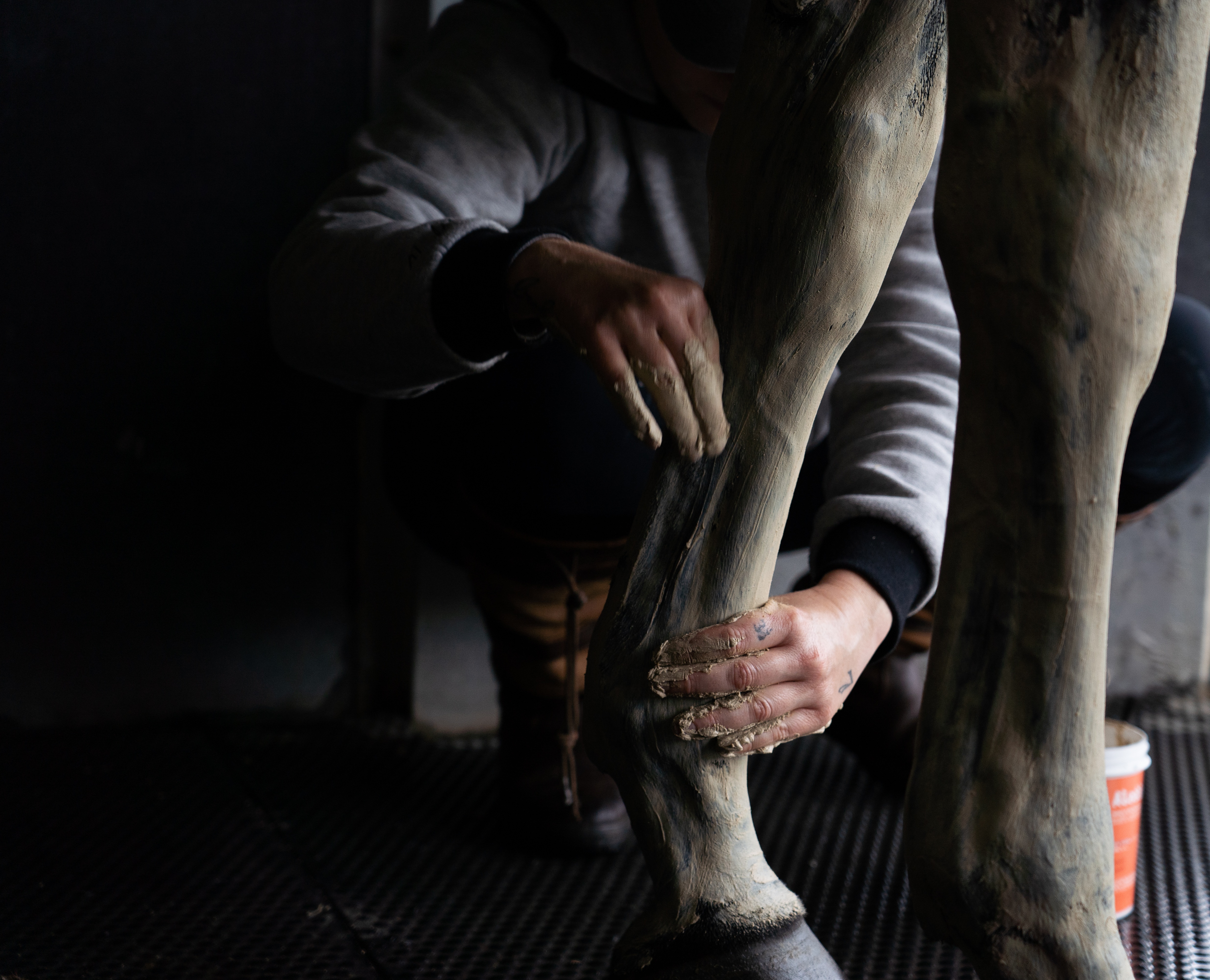 Klei Alodis Care Tendi Flash