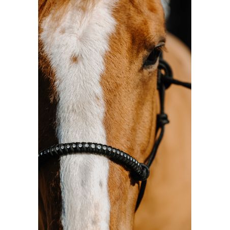 Licol éthologique nylon Norton Diams