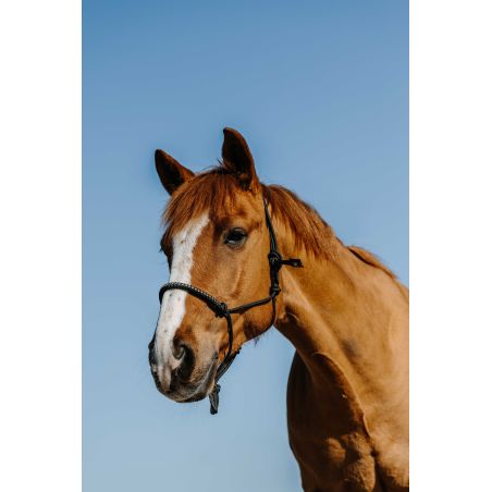 Nylon ethologisch halster Norton Diams