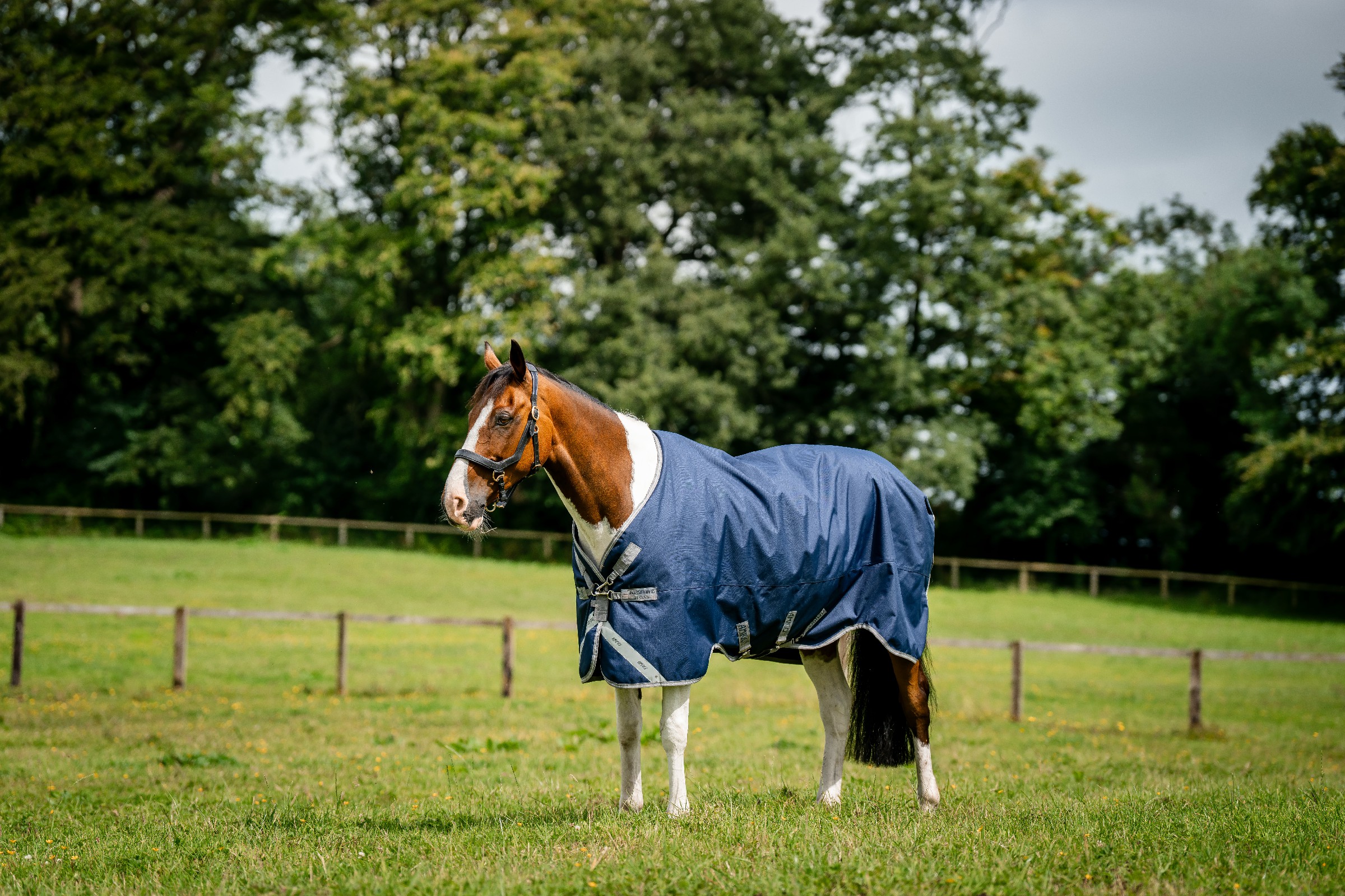 Couverture Horseware Amigo 1200D Turnout 100g Marine / gris titane / argent Bleu marine Couverture Horseware Amigo 1200D Turnout 100g Marine / gris titane / argent Bleu marine