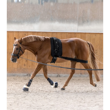 Bandage corporel Waldhausen arrière-main