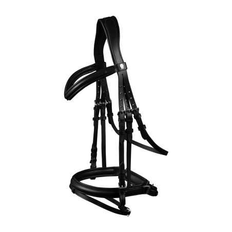 Bridon Waldhausen X-Line Stockholm muserolle combinée pull back