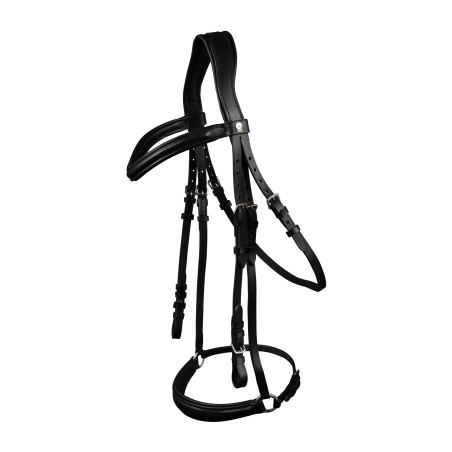 Bridon Waldhausen X-Line London met Duitse neusriem