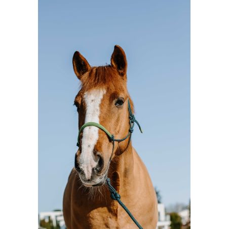 Halstertouw ethologisch + leadrope Norton Zweden