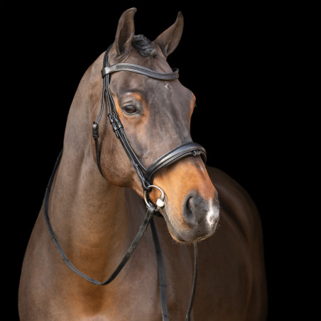 Hoofdstel met Engelse neusriem Imperial Riding