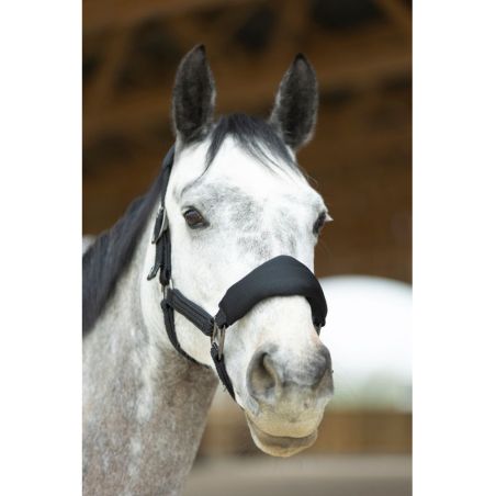 Set Licol ergonomique en mesh et longe ProConfort Dorai