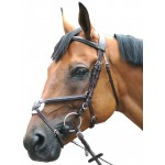 Bridon Royan Gekruist Privilege Ruitersport