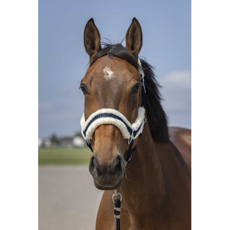 Licol Equithème Nylon Mouton