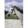 Bridon Riding World Muserolle croisée - Havane