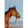 Bridon Riding World Neusriem breed - Zwart