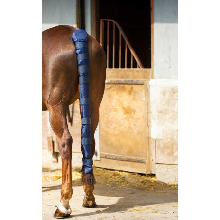 Staartbeschermer Norton Doudoune lang