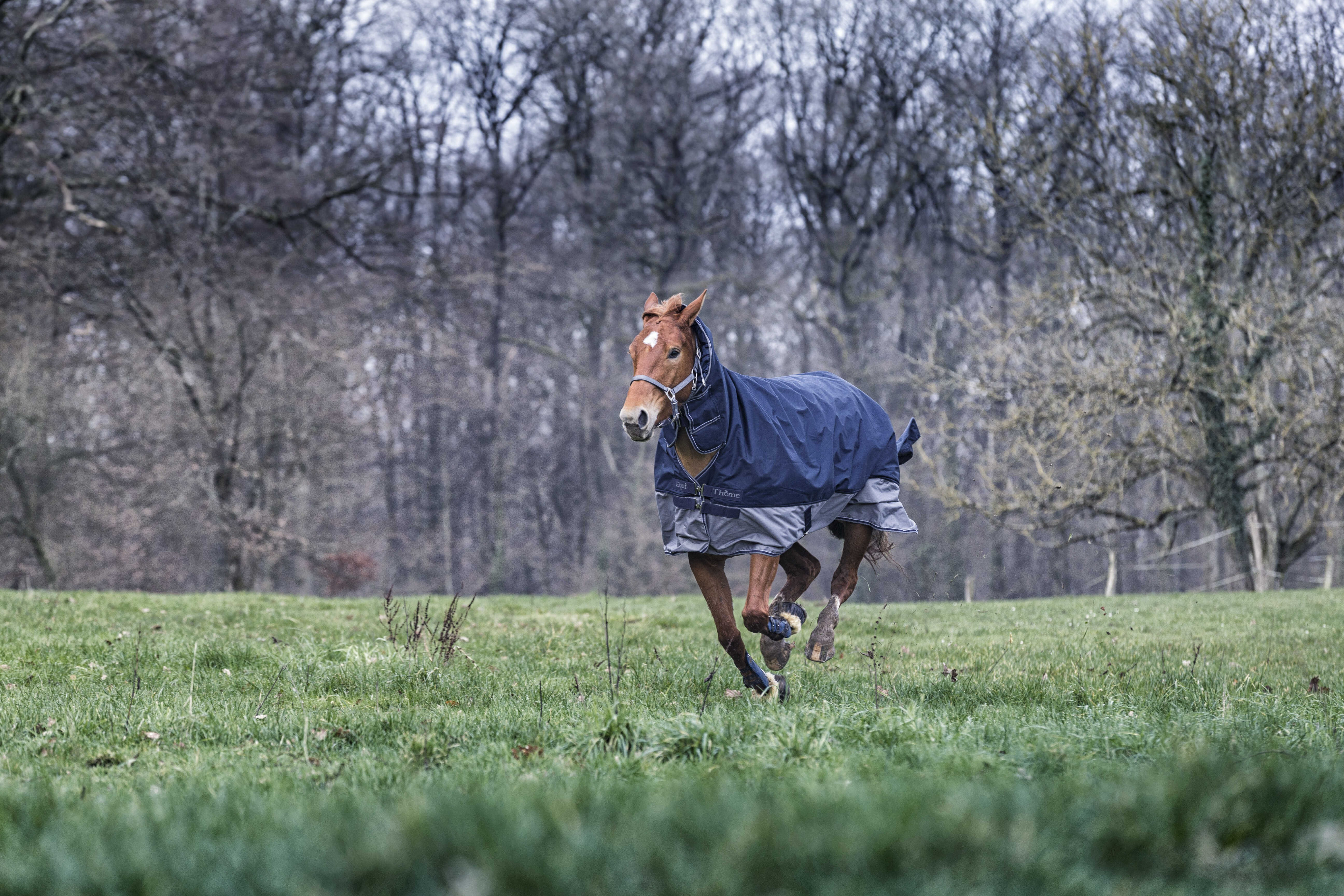 Couverture Equithème Tyrex 600D Combo 350g Couverture Equithème Tyrex 600D Combo 350g