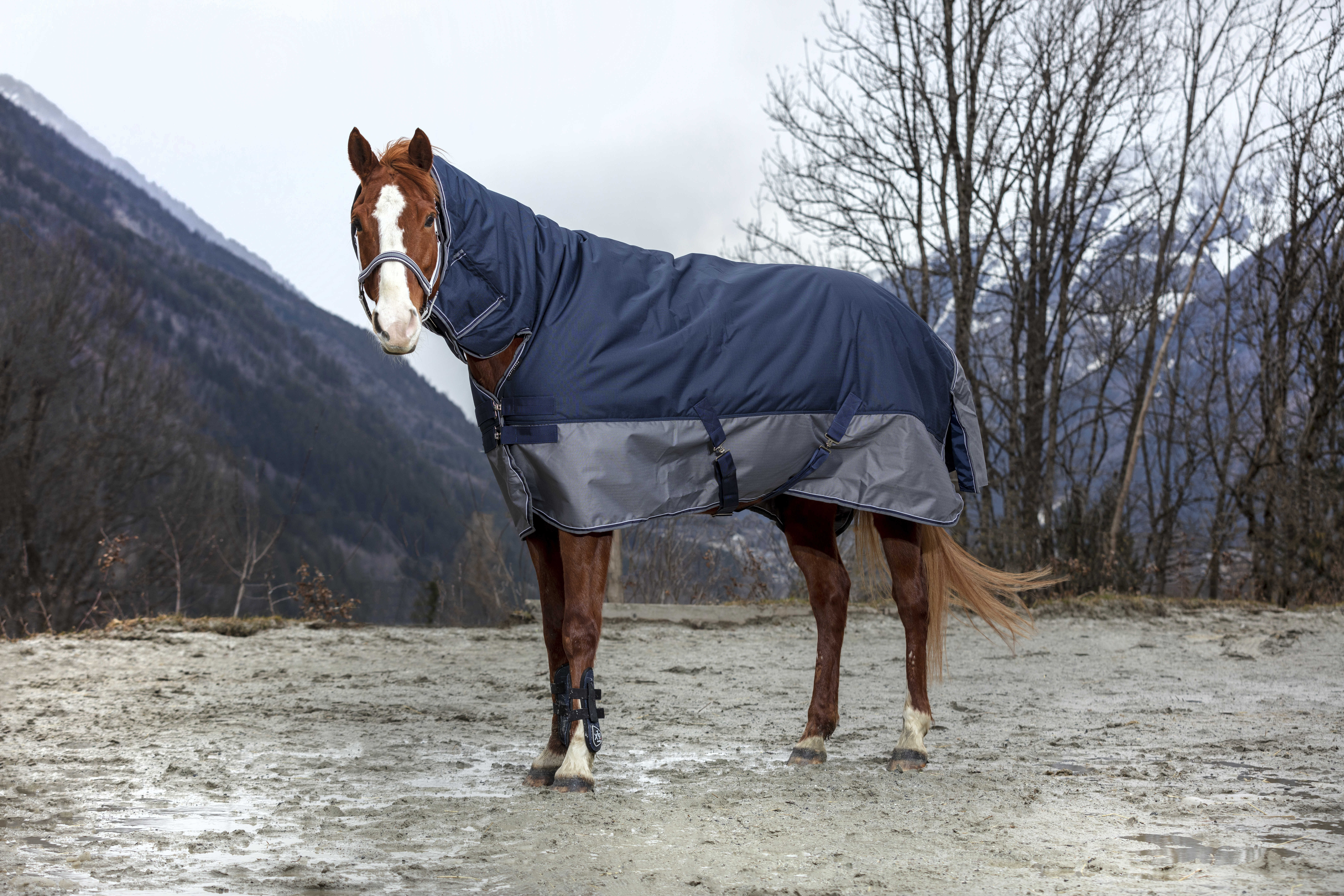 Couverture Equithème Tyrex 600D Combo 350g Couverture Equithème Tyrex 600D Combo 350g