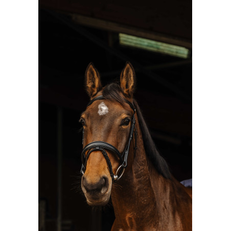 Bridon Norton Pro Donker