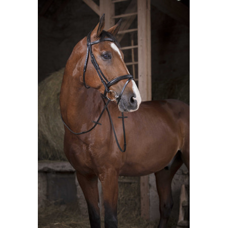 Rênes Caoutchouc Norton Pro 16 mm